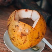  at Motion Cafe in Canggu