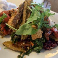Hummus and falafel salad pitta at The Leaf & Bean in Skipton