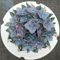 Small tarte with hydrangea design #Veganuary at Culinarydots  in Berlin