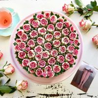 Raw vegan cake with fermented cashews at Culinarydots  in Berlin