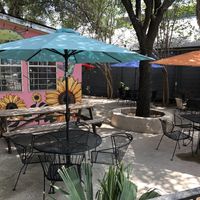   at Viva Vegeria in San Antonio