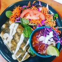 enchiladas verdes  at Viva Vegeria in San Antonio