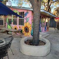 #Veganuary at Viva Vegeria in San Antonio