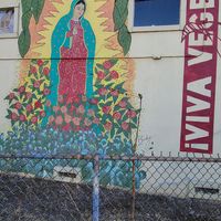 #Veganuary at Viva Vegeria in San Antonio