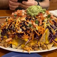 This is the half order!  at Viva Vegeria in San Antonio