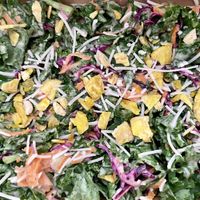 Nachos del picadillo   at Viva Vegeria in San Antonio