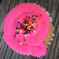 Vegan Cupcake at Viva Vegeria in San Antonio