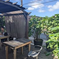 Terrace at Leahi Health - Kaimuki in Honolulu