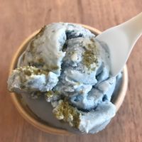 Imagine Brooklyn on a hot summer day with a cotton candy tasting ice cream made out of cashew & coconut milk and spirulina with matcha little cake pieces all in it. LIVING LIFE. at Van Leeuwen Ice Cream - Boerum Hill in Brooklyn