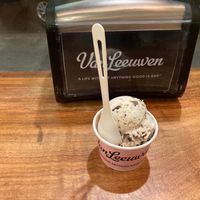 Vegan mint chocolate chip at Van Leeuwen Ice Cream - East Village in New York City