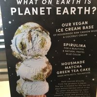 Planet earth ice cream at Van Leeuwen Ice Cream - East Village in New York City