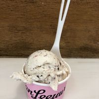 Vegan ice cream  at Van Leeuwen Ice Cream - West Village in New York City