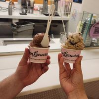 #Veganuary at Van Leeuwen Ice Cream - Williamsburg in Brooklyn