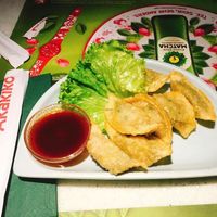 vegtable gyoza at Akakiko in Vienna