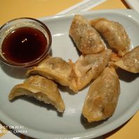 vegetable gyoza - hopefully vegan at Akakiko in Vienna