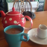 Huge pot o tea at The Wallflower Cafe in Herne Bay