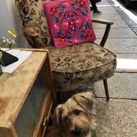 Outside with the pup at Cafe Herzstück in Goerlitz