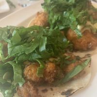 Cauliflower Tacos at The Coronado PHX in Phoenix