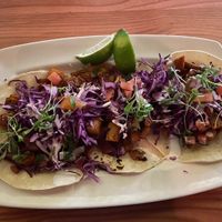 Potato Tacos  at The Coronado PHX in Phoenix
