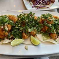 Cauliflower tacos  at The Coronado PHX in Phoenix