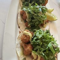 Cauliflower tacos 🌮   at The Coronado PHX in Phoenix