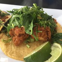Cauliflower tacos at The Coronado PHX in Phoenix