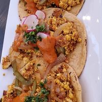 Tofu tacos. at The Coronado PHX in Phoenix