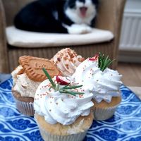 Brought home some cupcakes at Kunstküche in Krefeld