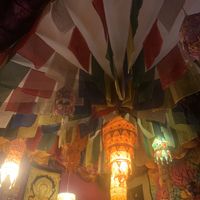   at Cafe Shanti in Lincoln