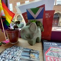 Elephants everywhere 🐘 🐘 🐘 💚 at Cafe Shanti in Lincoln