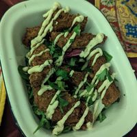  at Cafe Shanti in Lincoln