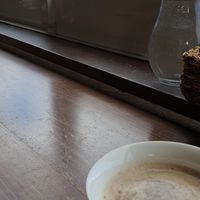 In 2019 I visited this beautiful place. Had a curry wirh shiitake and nut mocca. Bice view and nice soulfood. Thank you! at Veg Out in Kyoto