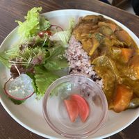 Coconut curry   at Veg Out in Kyoto
