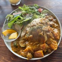 Curry  at Veg Out in Kyoto