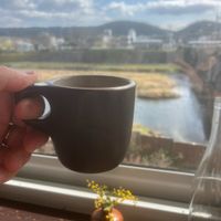 Coffee with a view  at Veg Out in Kyoto