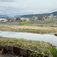 View of the river from the window   at Veg Out in Kyoto