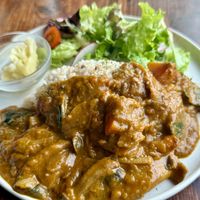 Coconut curry with brown rice and side saladd  at Veg Out in Kyoto