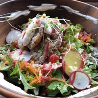 Buddha bowl. at Veg Out in Kyoto