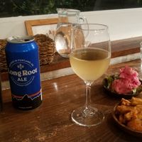 white wine, Patagonia Long Root Ale, fried tempeh, potato and beetroot salad  at Veg Out in Kyoto