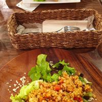 Soy meat and fried rice at Veg Out in Kyoto