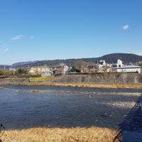 The view while having lunch at Veg Out in Kyoto