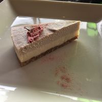 Cheesecake with sakura at Veg Out in Kyoto
