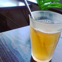 Lemon and green tea kombucha  at Veg Out in Kyoto