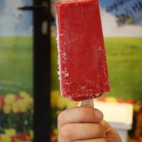 Vegan raspberry sorbet, made without any artifial flavouring or colouring, in the South of France at Pittz in Aix-en Provence