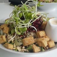 Dragon Bowl at VegetaBowl in Koh Tao