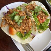 Jackfruit Taccos  at VegetaBowl in Koh Tao