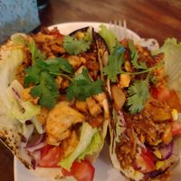 Bbq Jackfruit tacos. Very good at VegetaBowl in Koh Tao