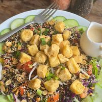 Zen Bowl with Lettuce at VegetaBowl in Koh Tao