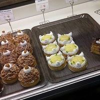  at Velicious in Strasbourg