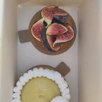  at Velicious in Strasbourg